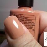 cnd_shellac_cocoa1 - Copy