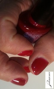 cndshellac_decadence_spring20111 - Copy