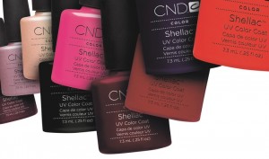 cndshellac_spring2011 - Copy